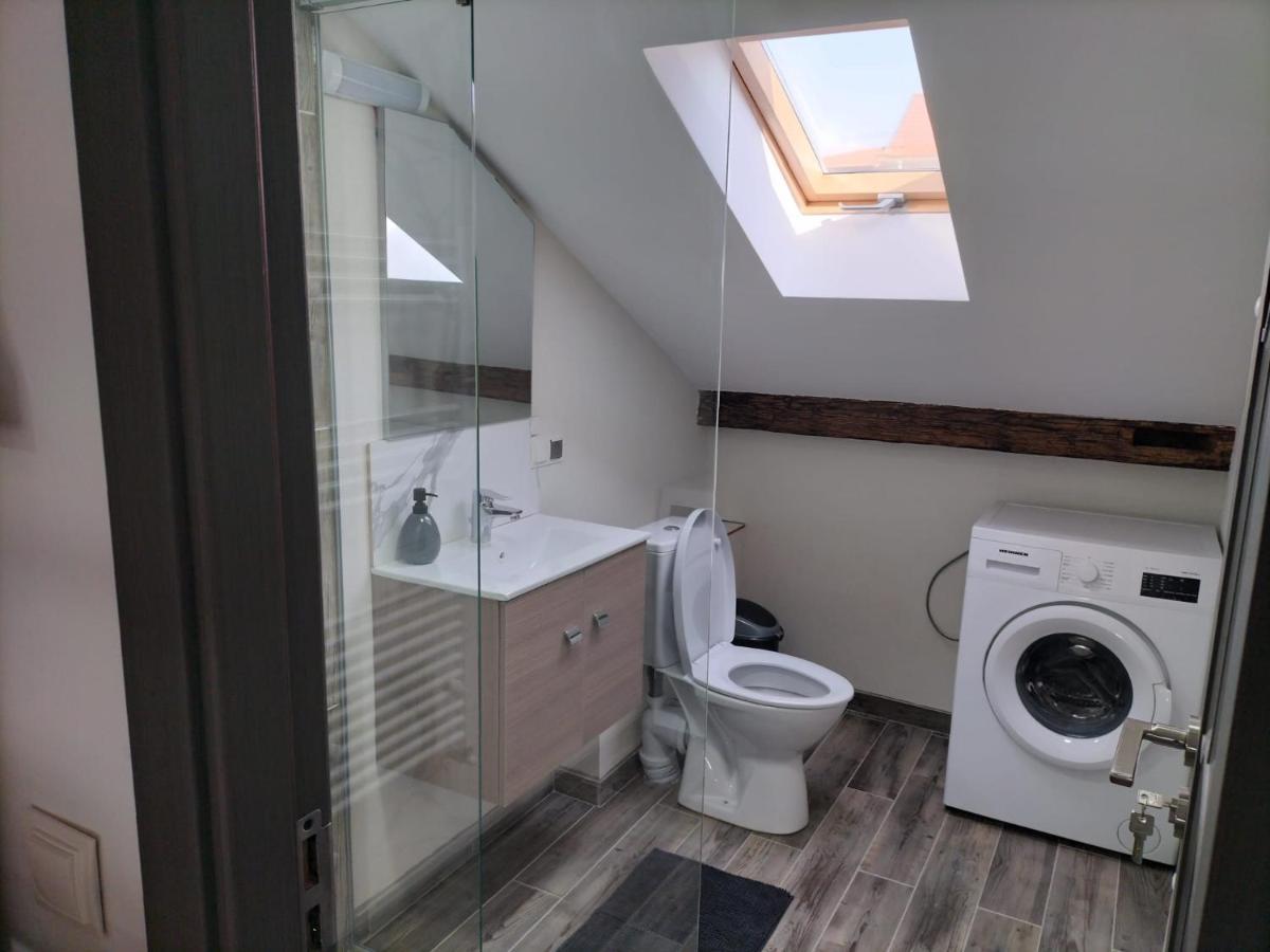 Cozy loft apartament Syhot Marmaroski Zewnętrze zdjęcie